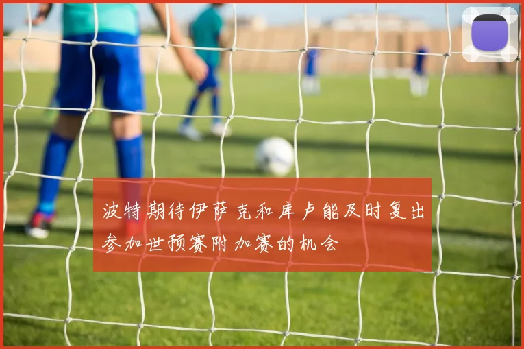 波特期待伊萨克和库卢能及时复出参加世预赛附加赛的机会