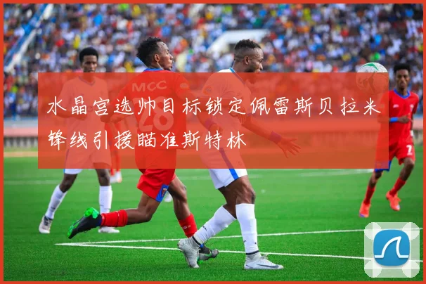 水晶宫选帅目标锁定佩雷斯贝拉米锋线引援瞄准斯特林
